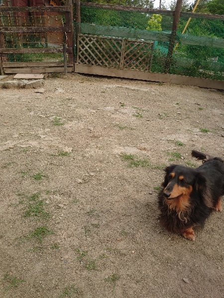 f：id：roukenhome-ann：20200526073249j：plain