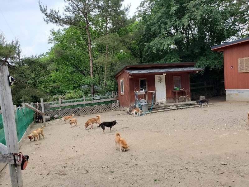 f:id:roukenhome-ann:20200527193803j:plain f:id:roukenhome-ann:20200527193803j:plain