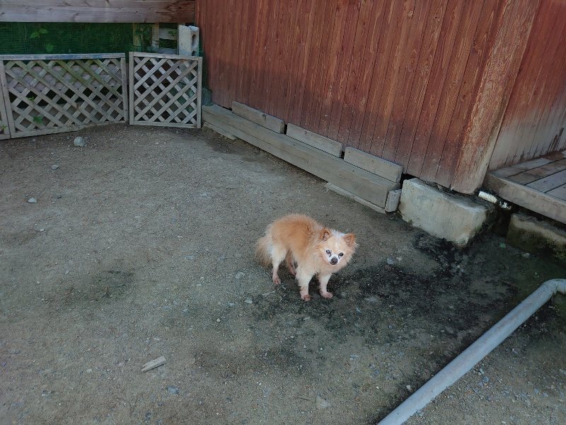 f：id：roukenhome-ann：20200528131015j：plain
