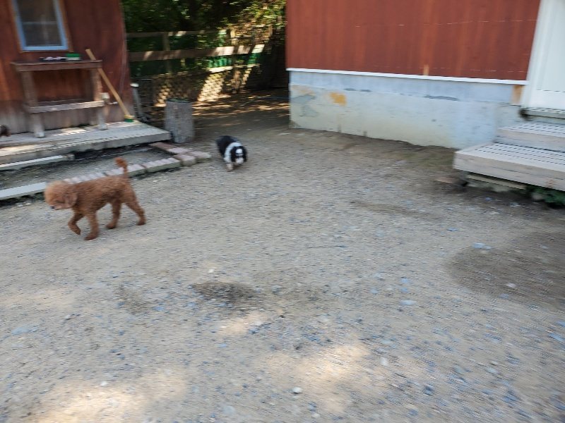 f:id:roukenhome-ann:20200528144920j:plain f:id:roukenhome-ann:20200528144920j:plain