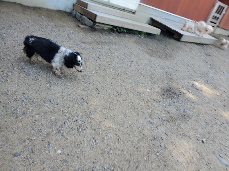 f:id:roukenhome-ann:20200528144936j:plain f:id:roukenhome-ann:20200528144936j:plain