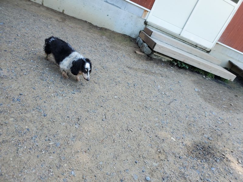 f:id:roukenhome-ann:20200528144948j:plain f:id:roukenhome-ann:20200528144948j:plain