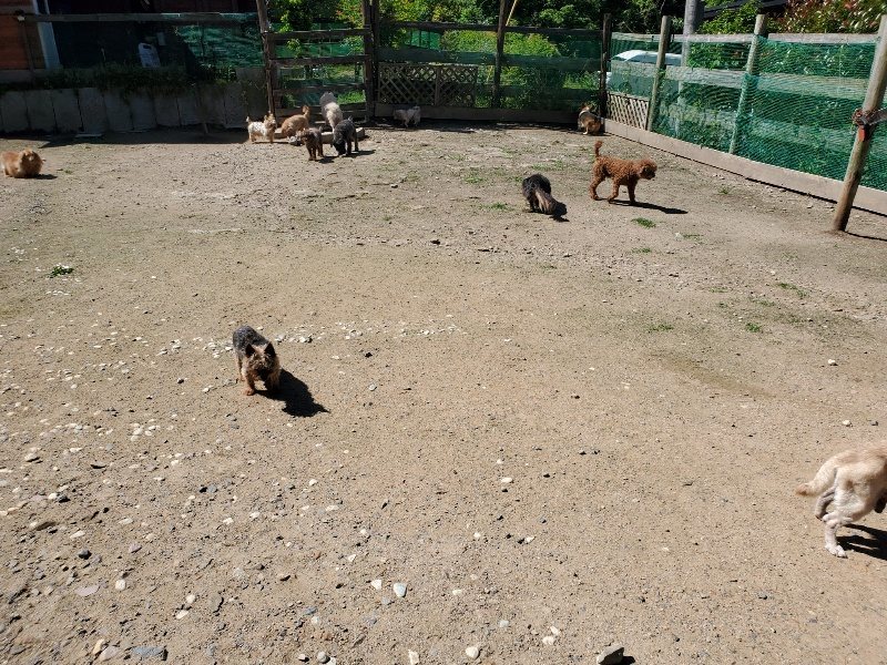 f:id:roukenhome-ann:20200528145404j:plain f:id:roukenhome-ann:20200528145404j:plain