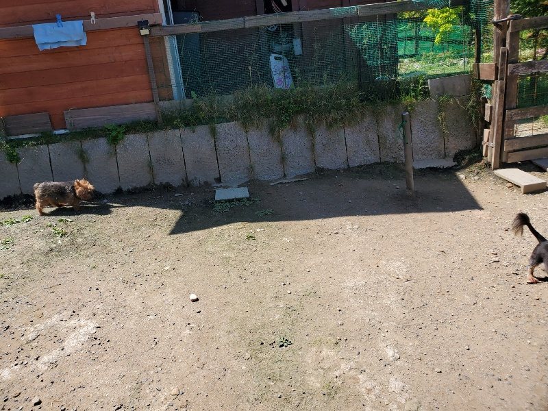 f:id:roukenhome-ann:20200528145745j:plain f:id:roukenhome-ann:20200528145745j:plain