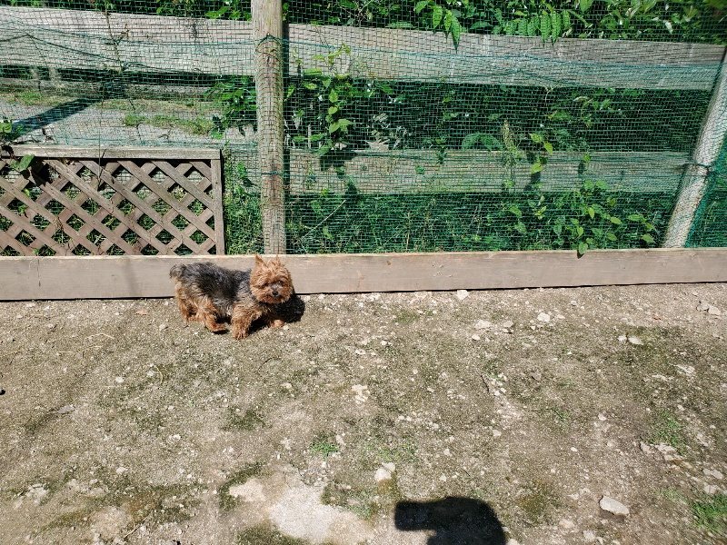 f:id:roukenhome-ann:20200528145822j:plain f:id:roukenhome-ann:20200528145822j:plain