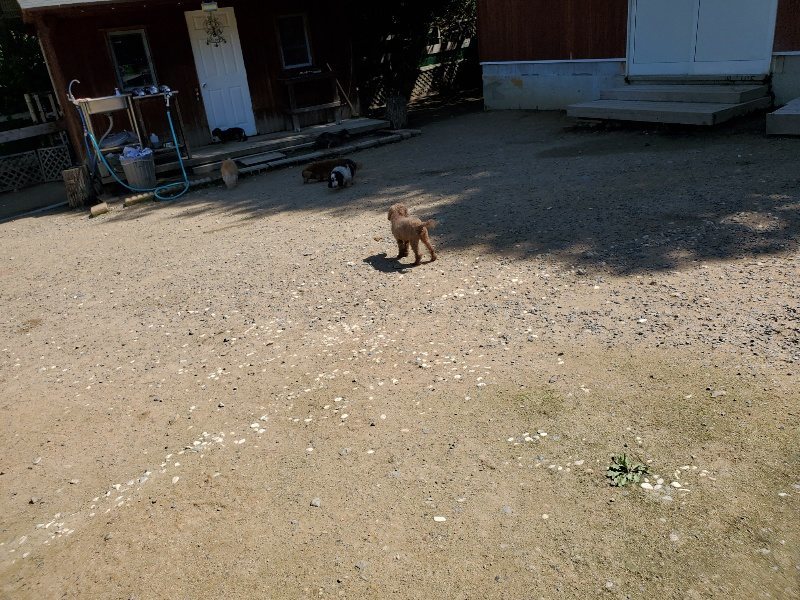 f:id:roukenhome-ann:20200528145952j:plain f:id:roukenhome-ann:20200528145952j:plain