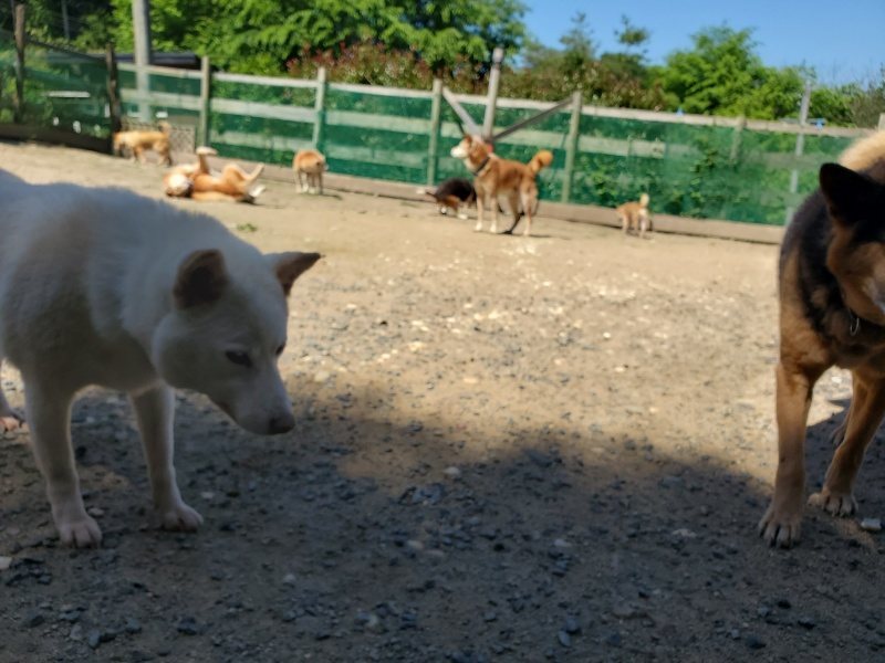f:id:roukenhome-ann:20200528150128j:plain f:id:roukenhome-ann:20200528150128j:plain