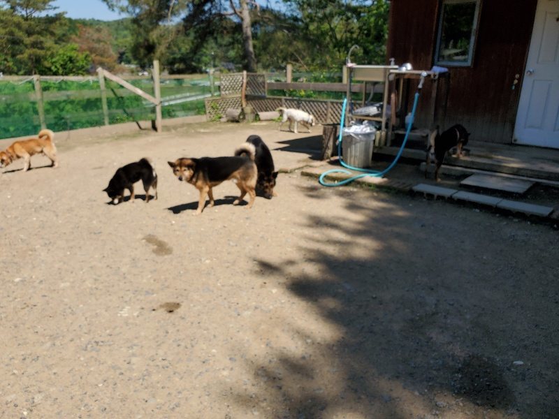 f:id:roukenhome-ann:20200528150228j:plain f:id:roukenhome-ann:20200528150228j:plain