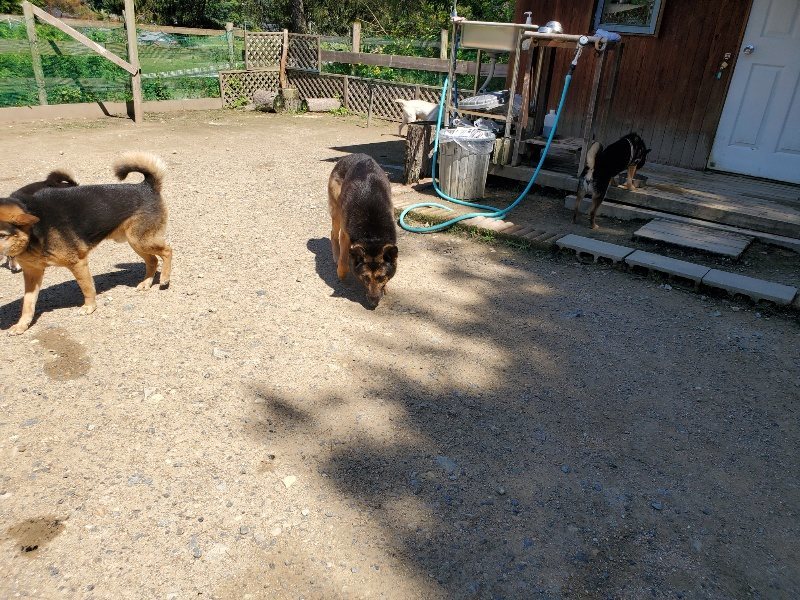 f:id:roukenhome-ann:20200528150245j:plain f:id:roukenhome-ann:20200528150245j:plain