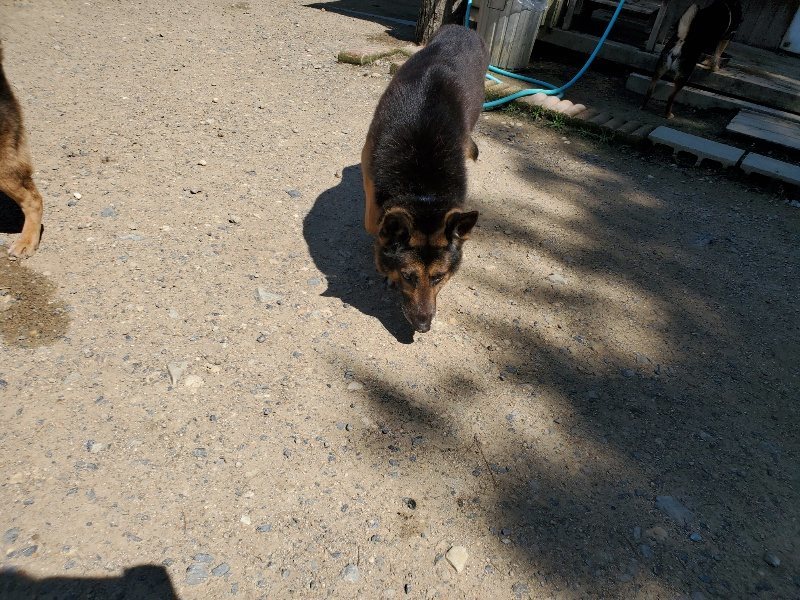 f:id:roukenhome-ann:20200528150257j:plain f:id:roukenhome-ann:20200528150257j:plain