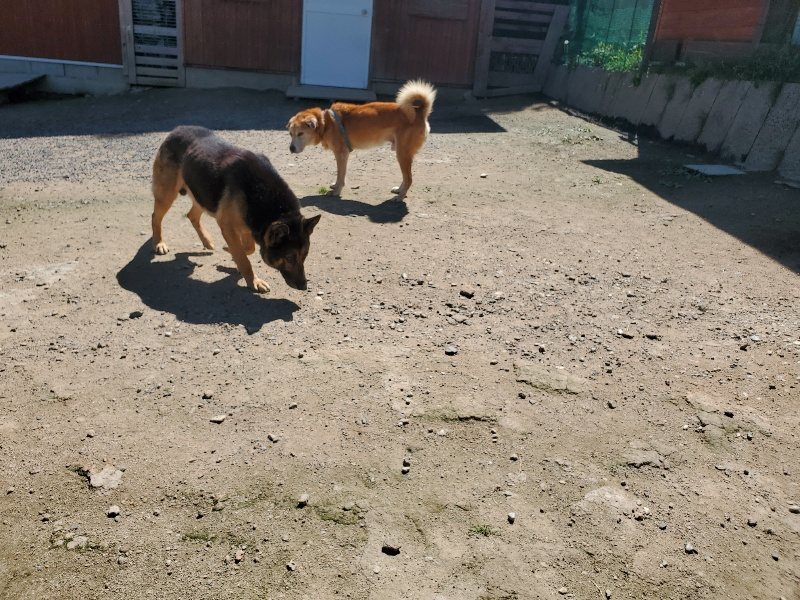 f:id:roukenhome-ann:20200528150739j:plain f:id:roukenhome-ann:20200528150739j:plain