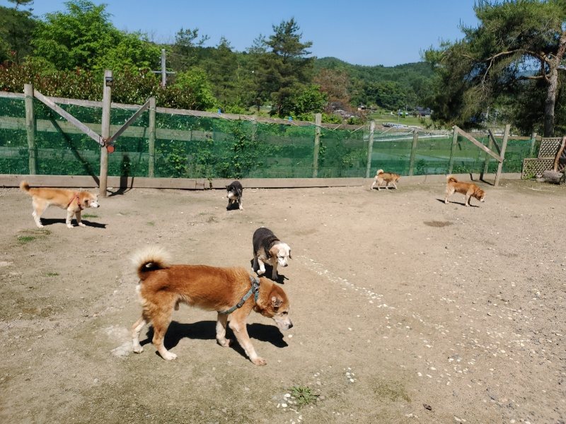 f:id:roukenhome-ann:20200528150852j:plain f:id:roukenhome-ann:20200528150852j:plain
