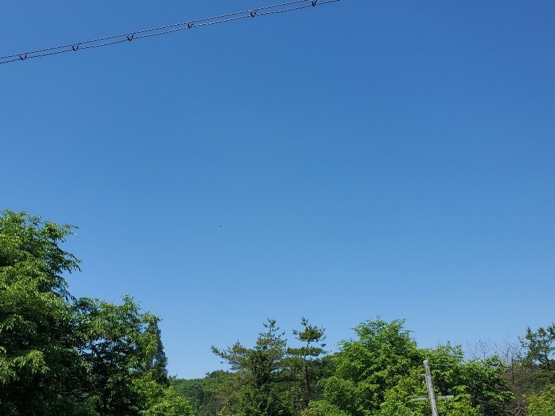 f:id:roukenhome-ann:20200528151029j:plain f:id:roukenhome-ann:20200528151029j:plain