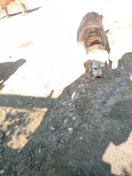 f：id：roukenhome-ann：20200529154902j：plain