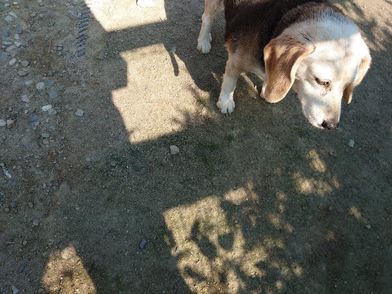 f：id：roukenhome-ann：20200529154912j：plain