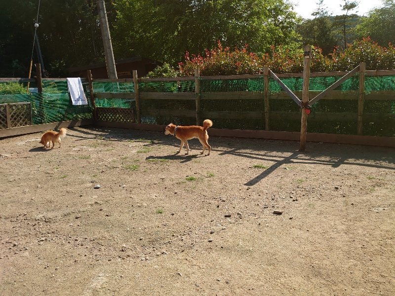 f：id：roukenhome-ann：20200529155112j：plain