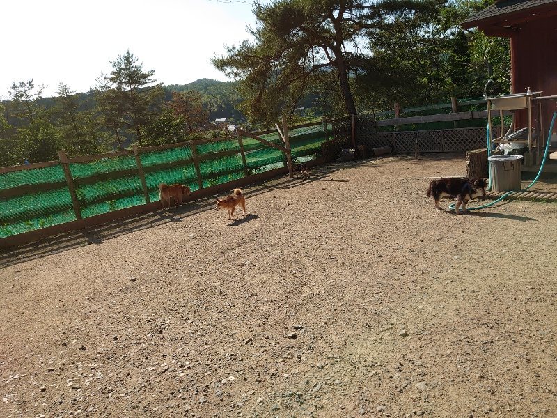 f：id：roukenhome-ann：20200529155355j：plain