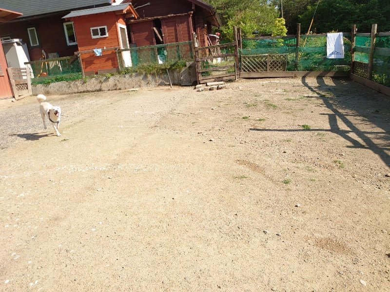 f：id：roukenhome-ann：20200529155412j：plain