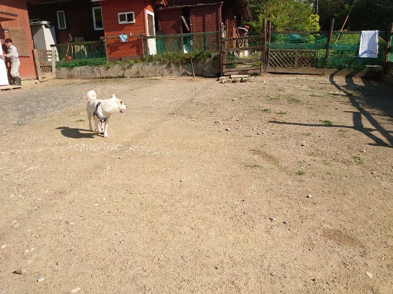f：id：roukenhome-ann：20200529155424j：plain