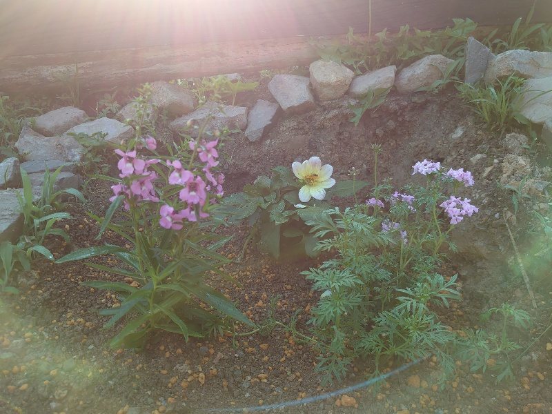 f：id：roukenhome-ann：20200529160400j：plain