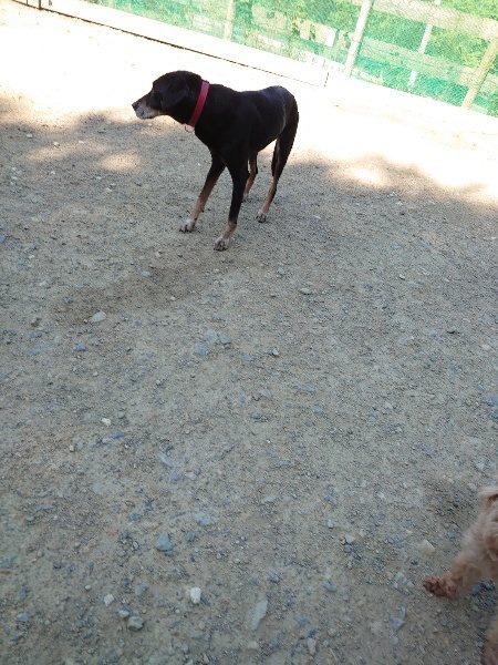 f：id：roukenhome-ann：20200529160550j：plain