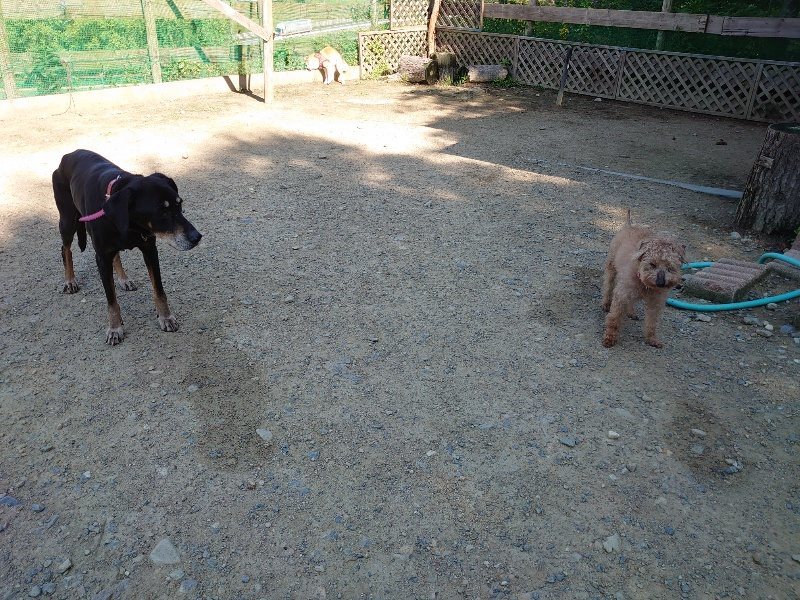 f：id：roukenhome-ann：20200529160621j：plain