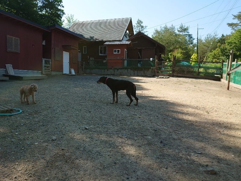 f：id：roukenhome-ann：20200529160819j：plain