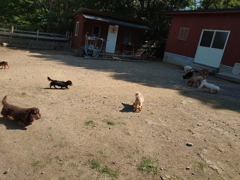 f：id：roukenhome-ann：20200529160842j：plain