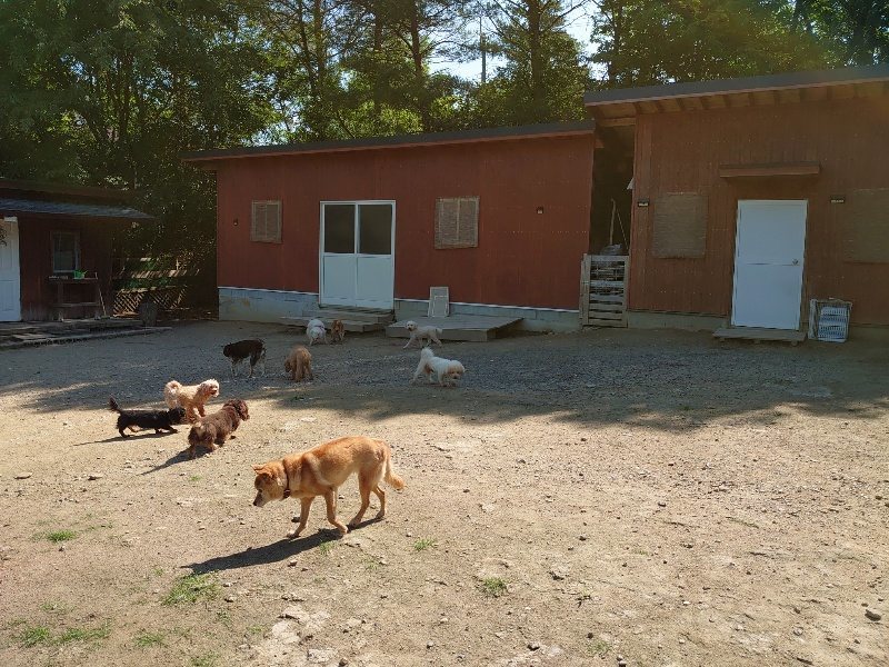 f：id：roukenhome-ann：20200529160847j：plain
