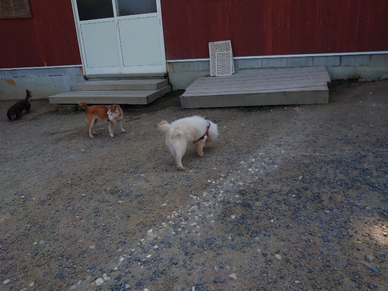 f：id：roukenhome-ann：20200529161103j：plain