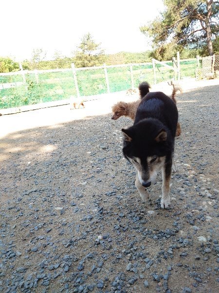 f：id：roukenhome-ann：20200529161222j：plain