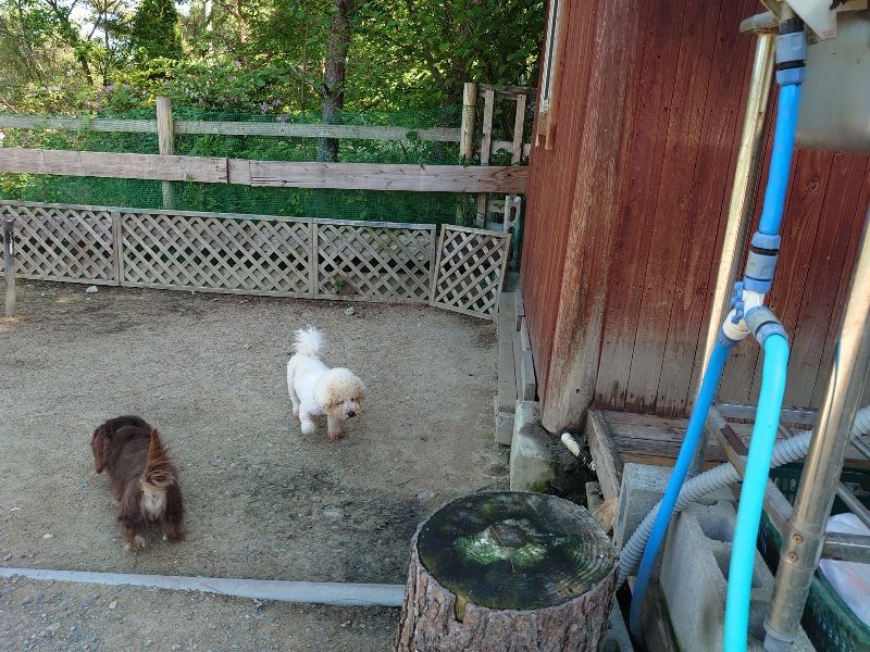 f：id：roukenhome-ann：20200529161252j：plain