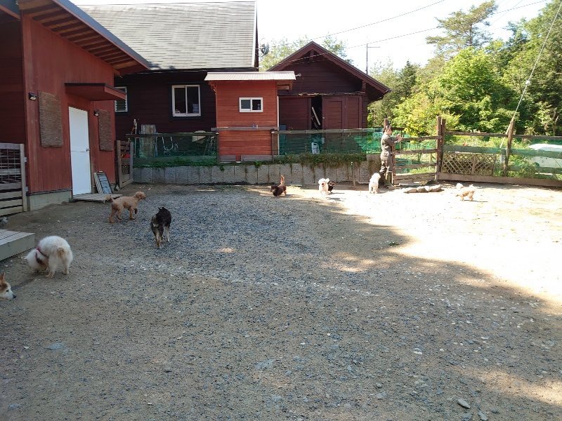 f：id：roukenhome-ann：20200529161508j：plain