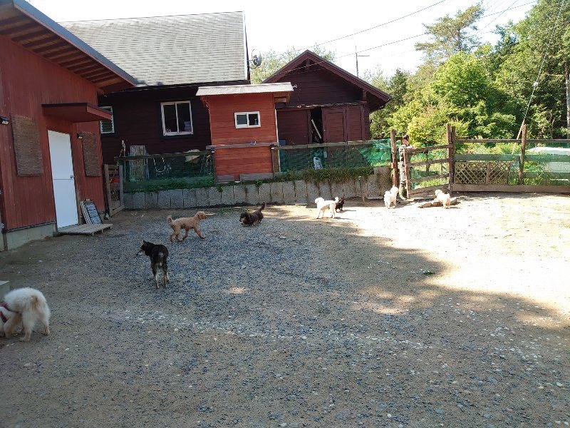 f：id：roukenhome-ann：20200529161518j：plain