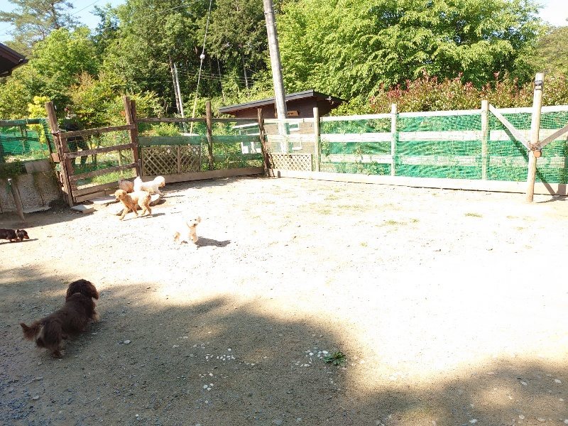 f：id：roukenhome-ann：20200529161552j：plain