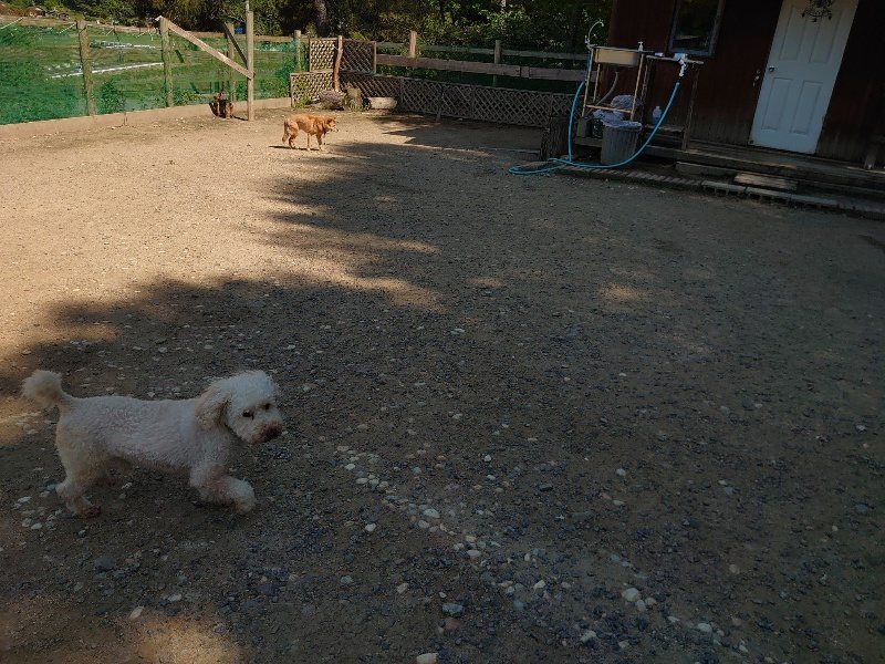 f：id：roukenhome-ann：20200529161603j：plain