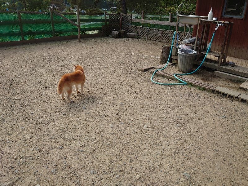 f:id:roukenhome-ann:20200530183724j:plain f:id:roukenhome-ann:20200530183724j:plain