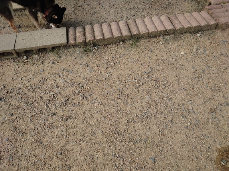 f:id:roukenhome-ann:20200530183740j:plain f:id:roukenhome-ann:20200530183740j:plain