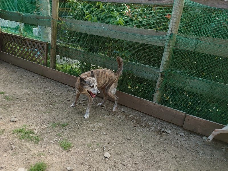 f:id:roukenhome-ann:20200530184042j:plain f:id:roukenhome-ann:20200530184042j:plain