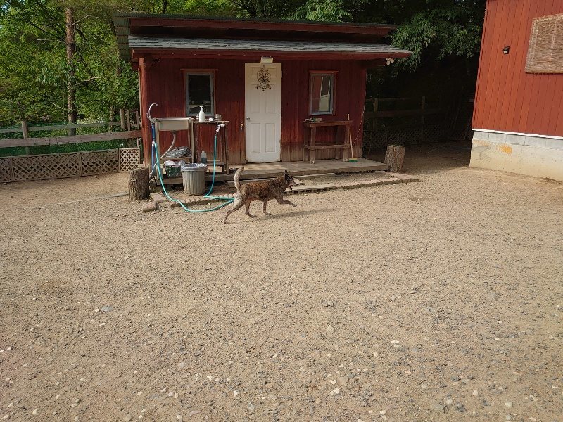f:id:roukenhome-ann:20200530184125j:plain f:id:roukenhome-ann:20200530184125j:plain