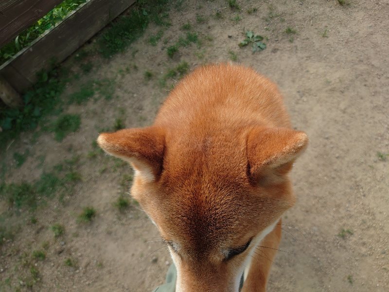 f:id:roukenhome-ann:20200530184234j:plain f:id:roukenhome-ann:20200530184234j:plain