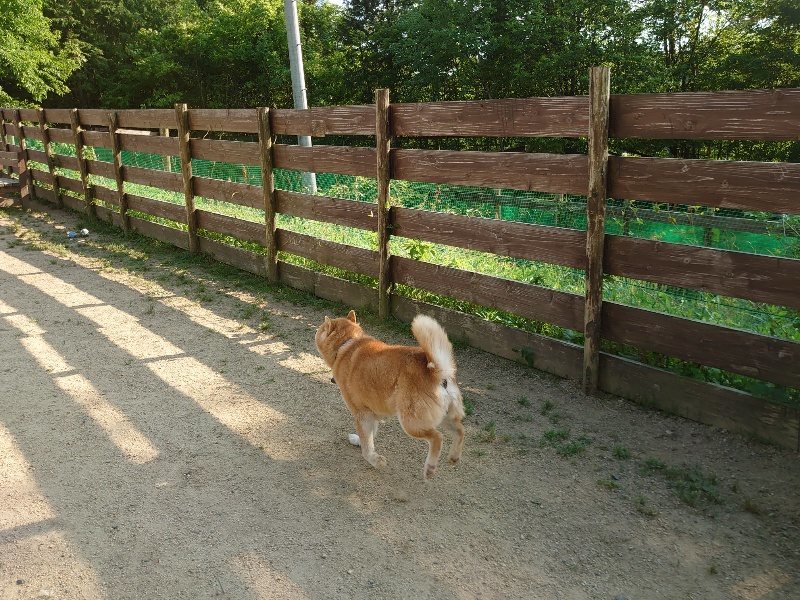 f:id:roukenhome-ann:20200530184357j:plain f:id:roukenhome-ann:20200530184357j:plain