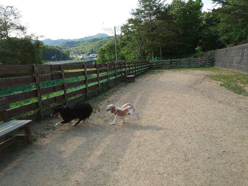 f:id:roukenhome-ann:20200530184450j:plain f:id:roukenhome-ann:20200530184450j:plain