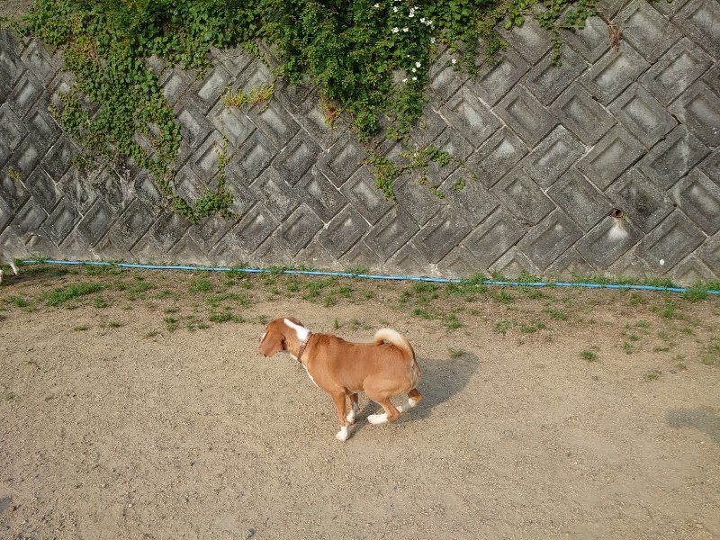 f:id:roukenhome-ann:20200530184520j:plain f:id:roukenhome-ann:20200530184520j:plain