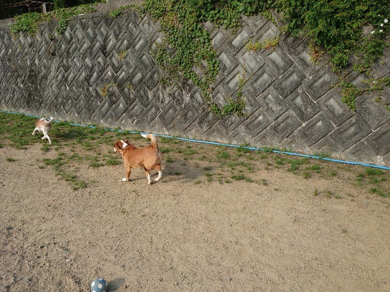 f:id:roukenhome-ann:20200530184526j:plain f:id:roukenhome-ann:20200530184526j:plain