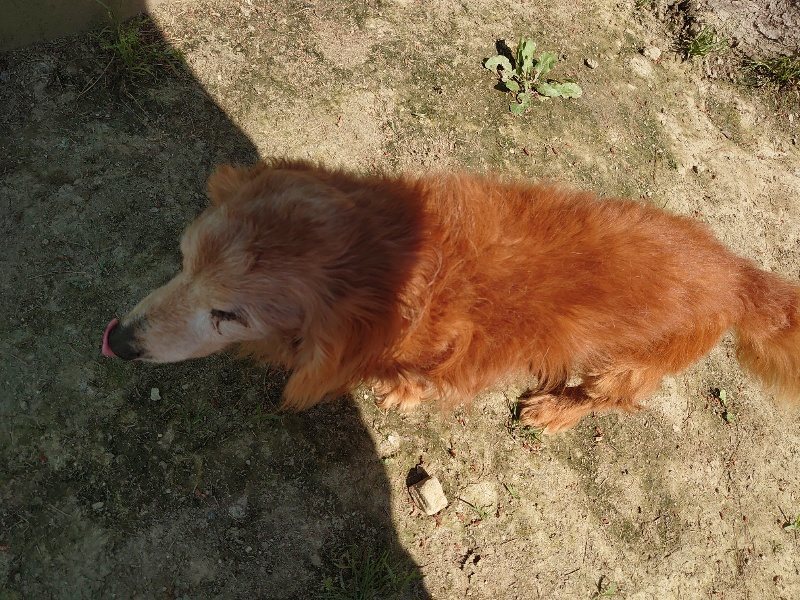 f:id:roukenhome-ann:20200530184925j:plain f:id:roukenhome-ann:20200530184925j:plain