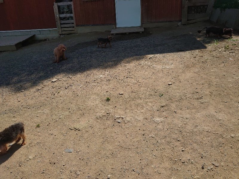 f:id:roukenhome-ann:20200530185456j:plain f:id:roukenhome-ann:20200530185456j:plain
