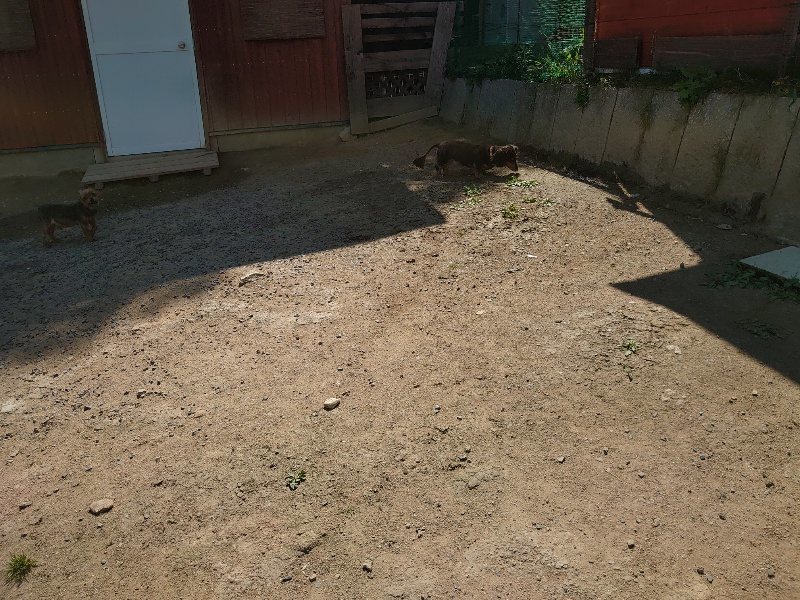 f:id:roukenhome-ann:20200530185507j:plain f:id:roukenhome-ann:20200530185507j:plain