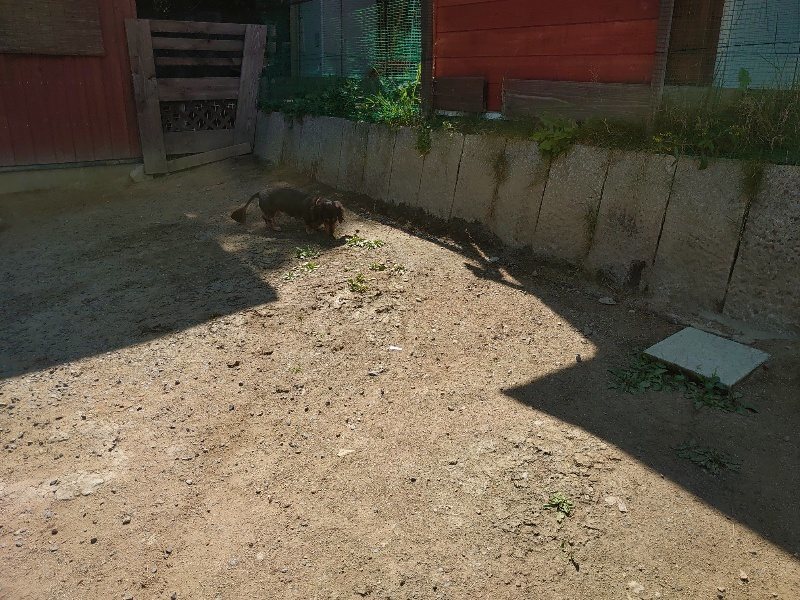 f:id:roukenhome-ann:20200530185512j:plain f:id:roukenhome-ann:20200530185512j:plain