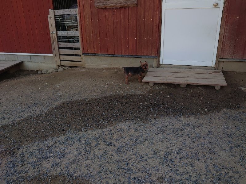 f:id:roukenhome-ann:20200530185602j:plain f:id:roukenhome-ann:20200530185602j:plain